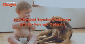 Are chemical termite treatments safe for pets and children during termite control in Brisbane homes.
