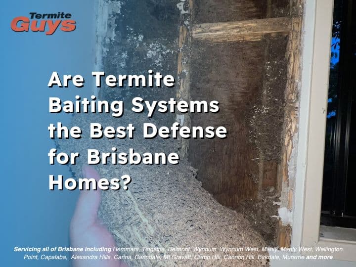 Illustration of a termite baiting system installed around a Brisbane home to protect against infestation.