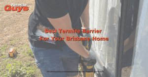 A termite barrier being installed around the foundation of a Brisbane home to prevent infestations.