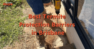 Termite barrier installation at a Brisbane home for long-term protection against termites