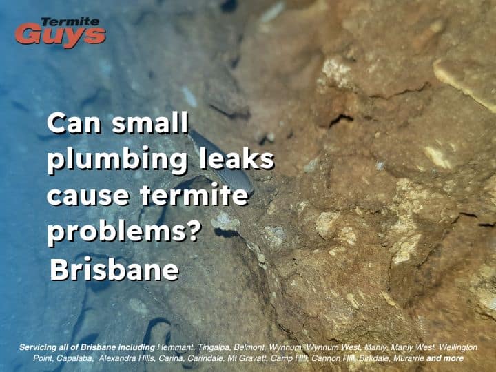 A slow plumbing leak under a bathroom sink creating moisture damage that attracts termites.