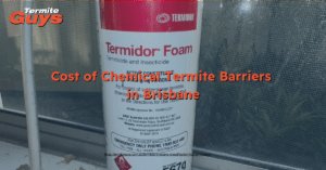 Chemical termite barrier installation around a Brisbane home showing treatment application for long-term termite protection