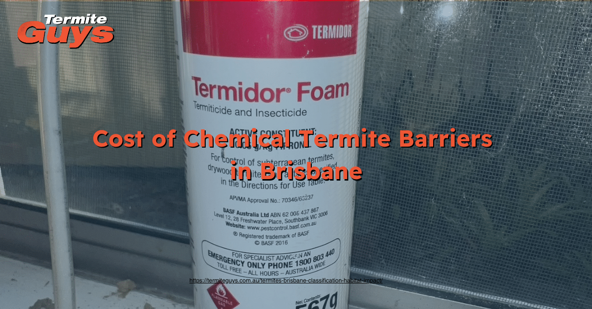 Chemical termite barrier installation around a Brisbane home showing treatment application for long-term termite protection