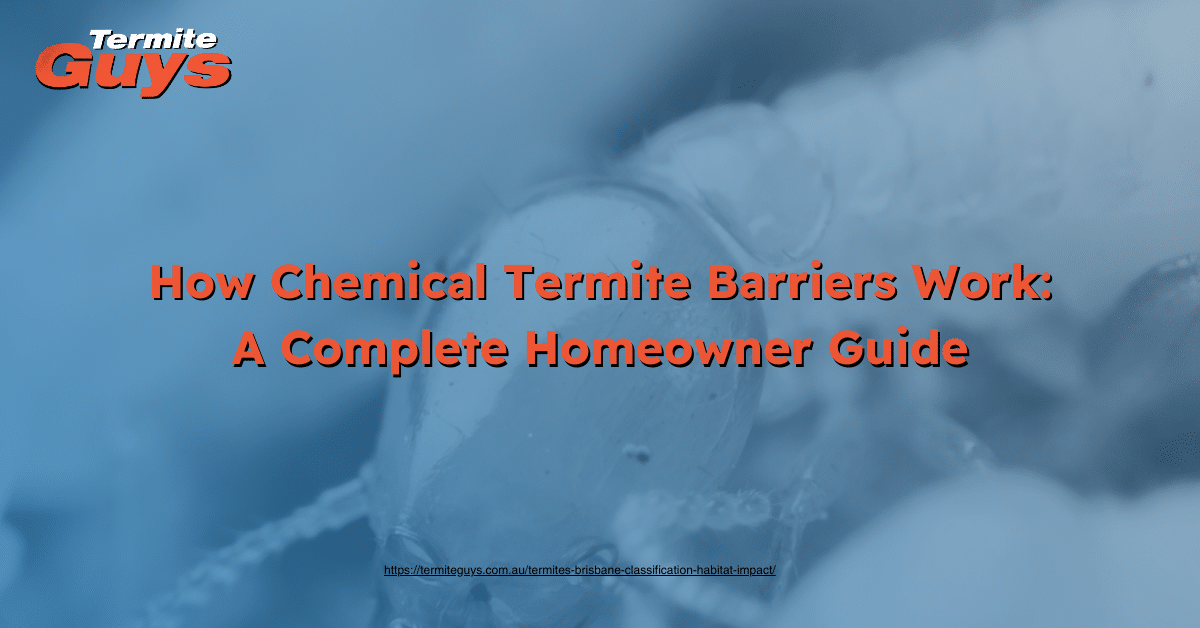 How chemical termite barriers work to protect Brisbane homes by creating treated soil zones that stop or eliminate termites.