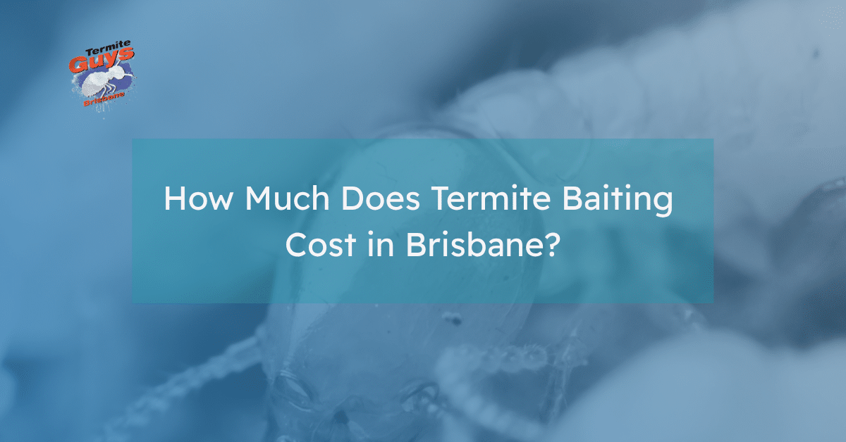 Property in Brisbane showing visible termite infestation damage before termite baiting treatment