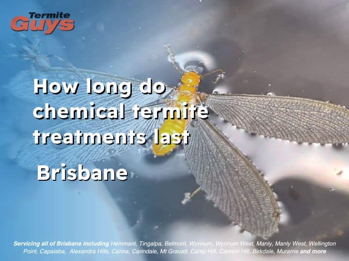 Technician applying chemical termite treatment to home foundation to prevent termite damage.