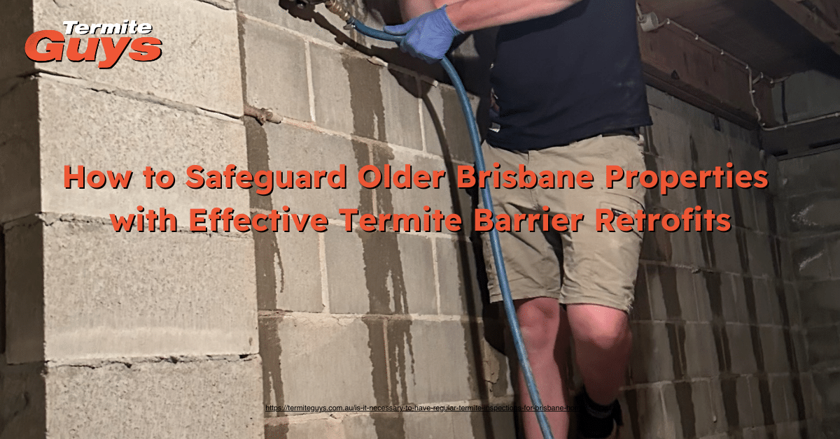 Technician installing a termite barrier around the foundation of an older Queenslander home in Brisbane.