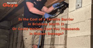 Is the Cost of a Termite Barrier in Brisbane Worth It - Or Could Waiting Cost You Thousands?