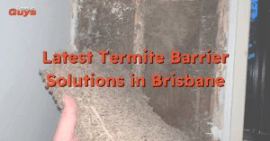 Technician checking out termite damage in a house before applying the latest termite barrier solution to prevent infestation of termites in the future.