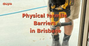 Technicians drilling around a Brisbane home to install physical termite barriers for long-term pest protection