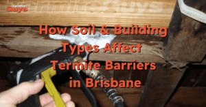 Brisbane homeowner receiving residential termite inspection from a professional inspector