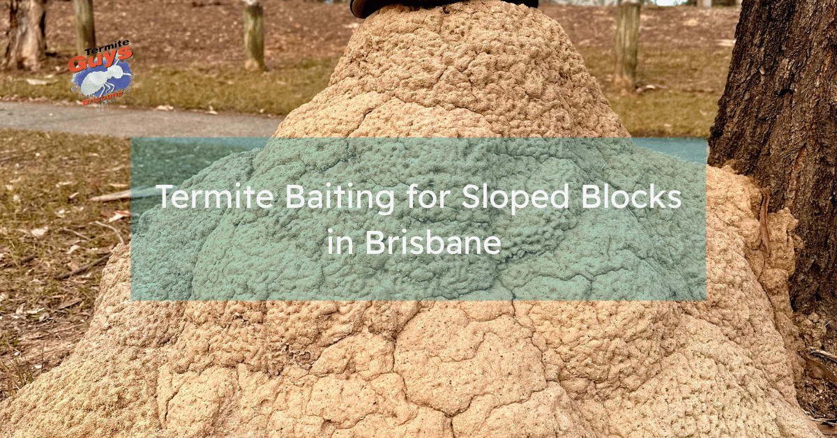 Termite bait stations installed around a sloping residential block in Brisbane to protect the home from termite activity