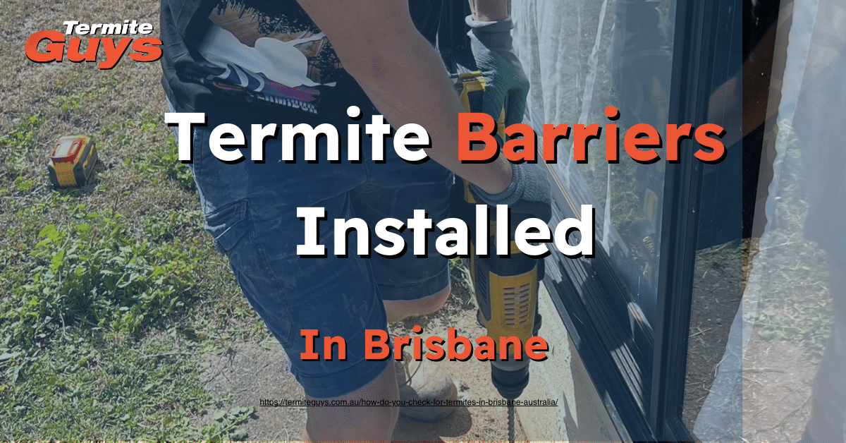 Chemical and physical termite barriers professionally installed in a Brisbane home to prevent infestations.
