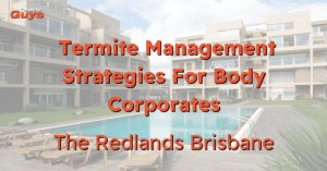 A professional termite inspector from Termite Guys Brisbane performing a detailed termite inspection on a body corporate property in Redlands.