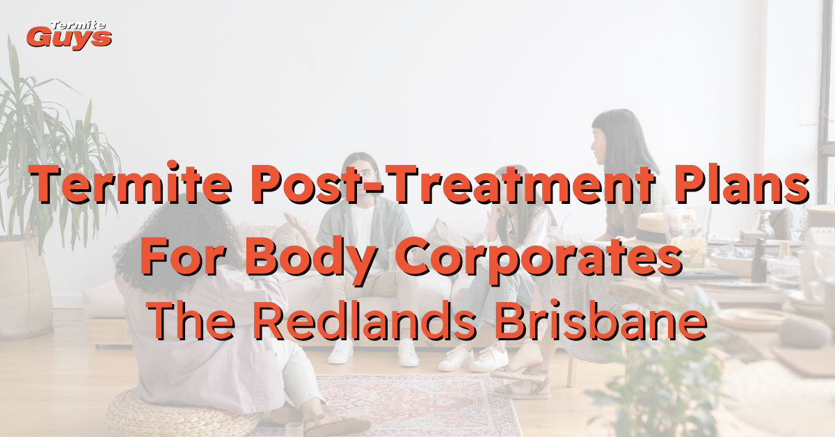 Termite Post-Treatment Plans For Body Corporates In Redlands