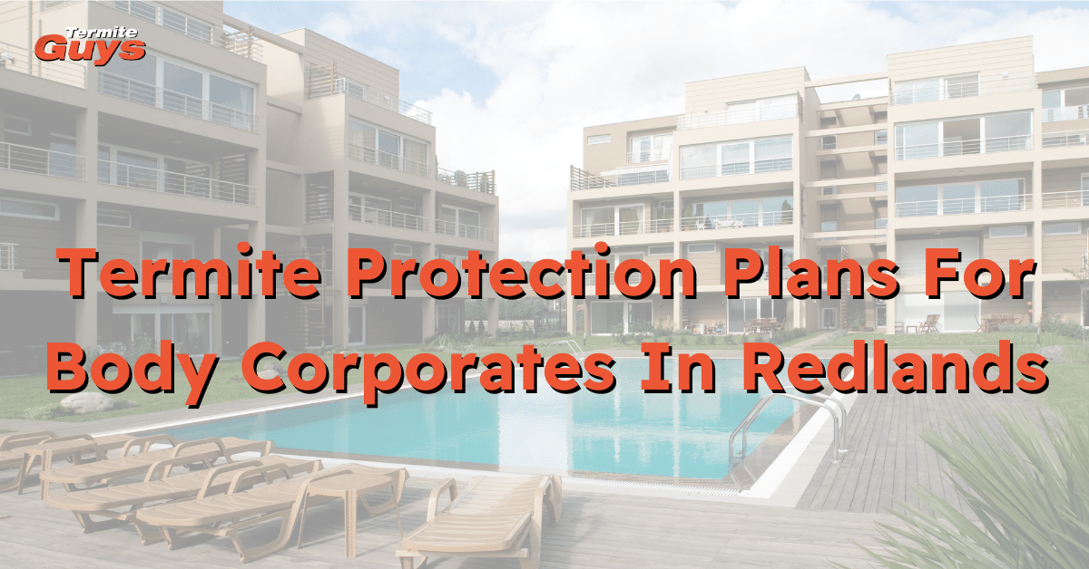 Body corporate termite protection plan in action at a Redlands townhouse complex, provided by Termite Guys Brisbane.