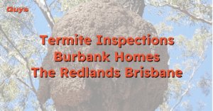 echnician performing termite inspection on a Burbank home in The Redlands, Brisbane – Termite Guys Brisbane expert service