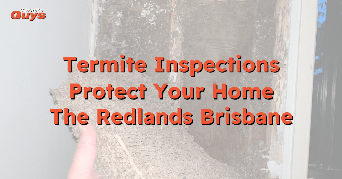 Thermal imaging termite inspection by Termite Guys Brisbane in a Redlands home.