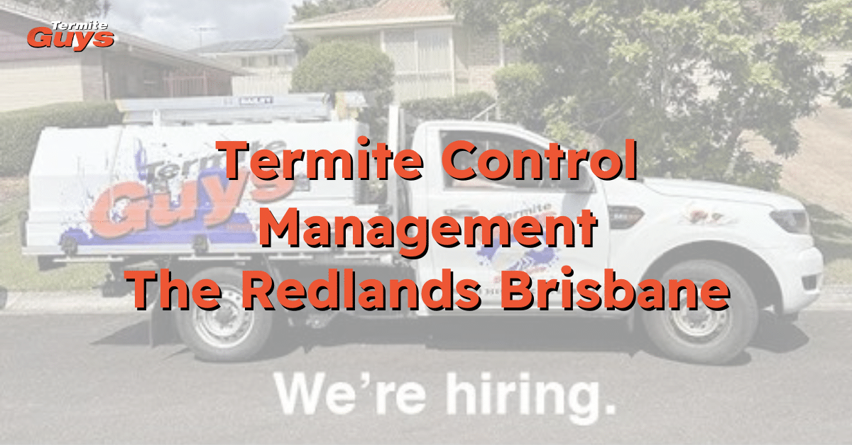 Termite control expert from Termite Guys Brisbane providing trusted termite management solutions in The Redlands area.