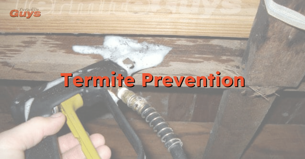 Termite prevention treatment being applied to a Brisbane home foundation