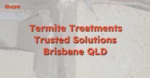 Termite treatment in progress by Termite Guys Brisbane at a Brisbane home