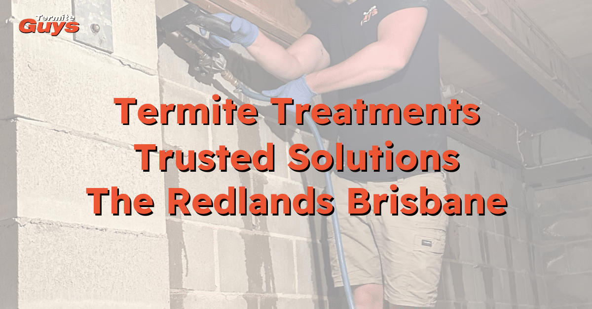 Technician applying termite treatment at a Redlands home – Trusted solutions by Termite Guys Brisbane