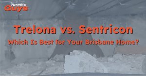 Best termite baiting system installed at a Brisbane home by Termite Guys Brisbane to protect against subterranean termites.