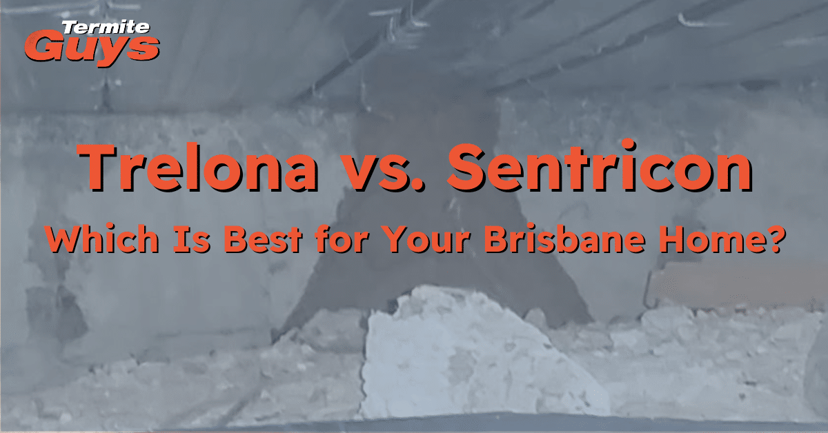 Best termite baiting system installed at a Brisbane home by Termite Guys Brisbane to protect against subterranean termites.