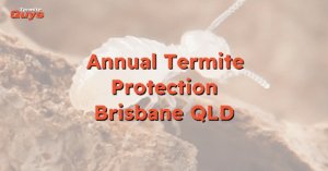 Technician performing annual termite inspection with advanced tools, ensuring expert termite protection for Brisbane homes.