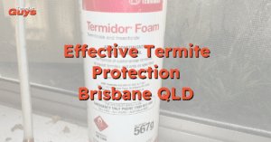 Professional termite protection for residential properties in Brisbane – expert pest control services by Termite Guys Brisbane.