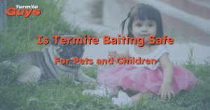 Termite baiting station installed in garden soil beside Brisbane home, safe for pets and children when professionally managed.