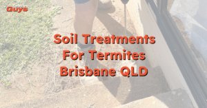 Soil treatment for termite prevention in a Brisbane home by Termite Guys Brisbane technician applying chemical barrier