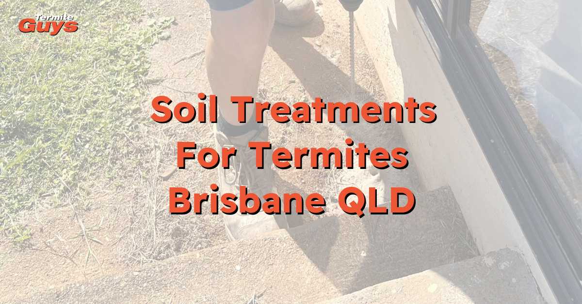 Soil treatment for termite prevention in a Brisbane home by Termite Guys Brisbane technician applying chemical barrier