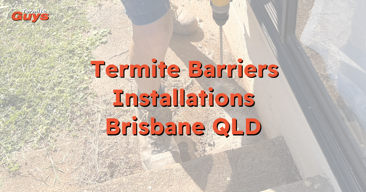 Termite barriers installed for residential property protection by Termite Guys Brisbane