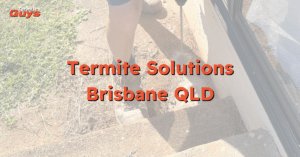 Technician applying professional termite treatment to a Brisbane home’s wooden structure, ensuring long-term protection.